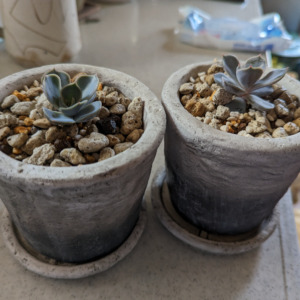 Thumbnail of post image 107
