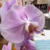 Thumbnail of related posts 029