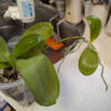 Thumbnail of new posts 045