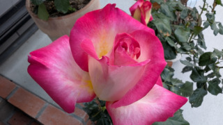 Thumbnail of post image 024
