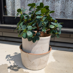 Thumbnail of post image 074