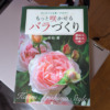 Thumbnail of new posts 077