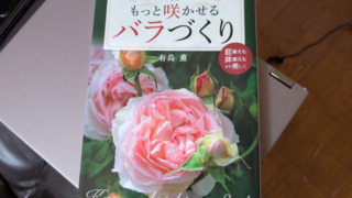 Thumbnail of post image 104
