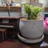 Thumbnail of new posts 013
