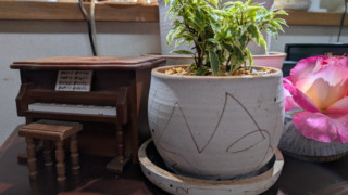 Thumbnail of post image 008
