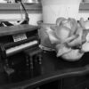 Thumbnail of new posts 039