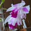 Thumbnail of new posts 171
