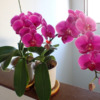 Thumbnail of new posts 055