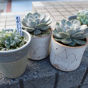 Thumbnail of post image 109