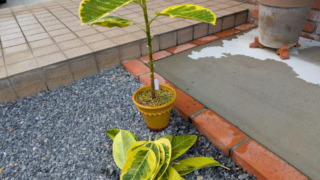 Thumbnail of post image 143