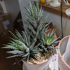 Thumbnail of new posts 150